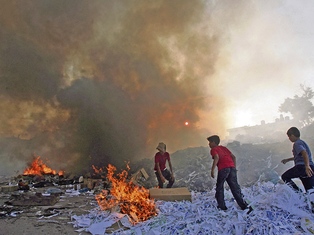 Umweltterror in Israel