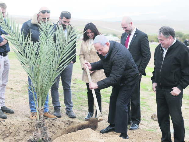 Tu BiSchwat - Der über 2000 Jahre alte jüdische Tag des Umweltschutzes und der Bäume
