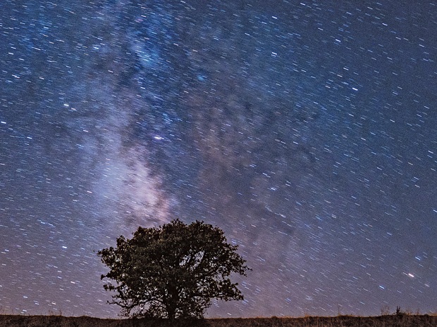 Die Macht der freien Wahl